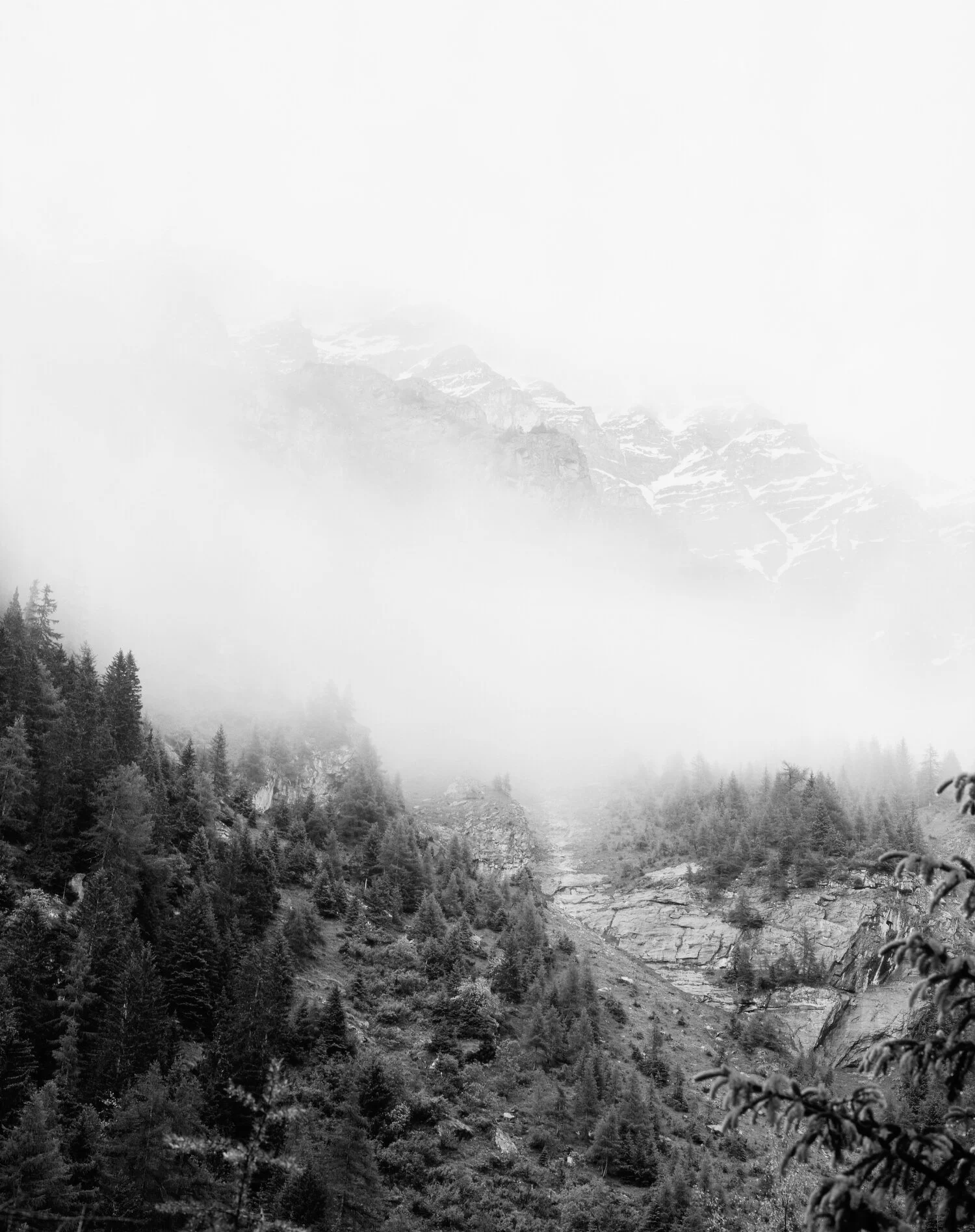 Proliferation — //